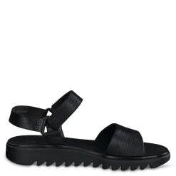 Toni Sandal|Paul Green Hot