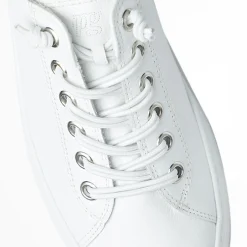Hadley Sneaker Laces|Paul Green Hot